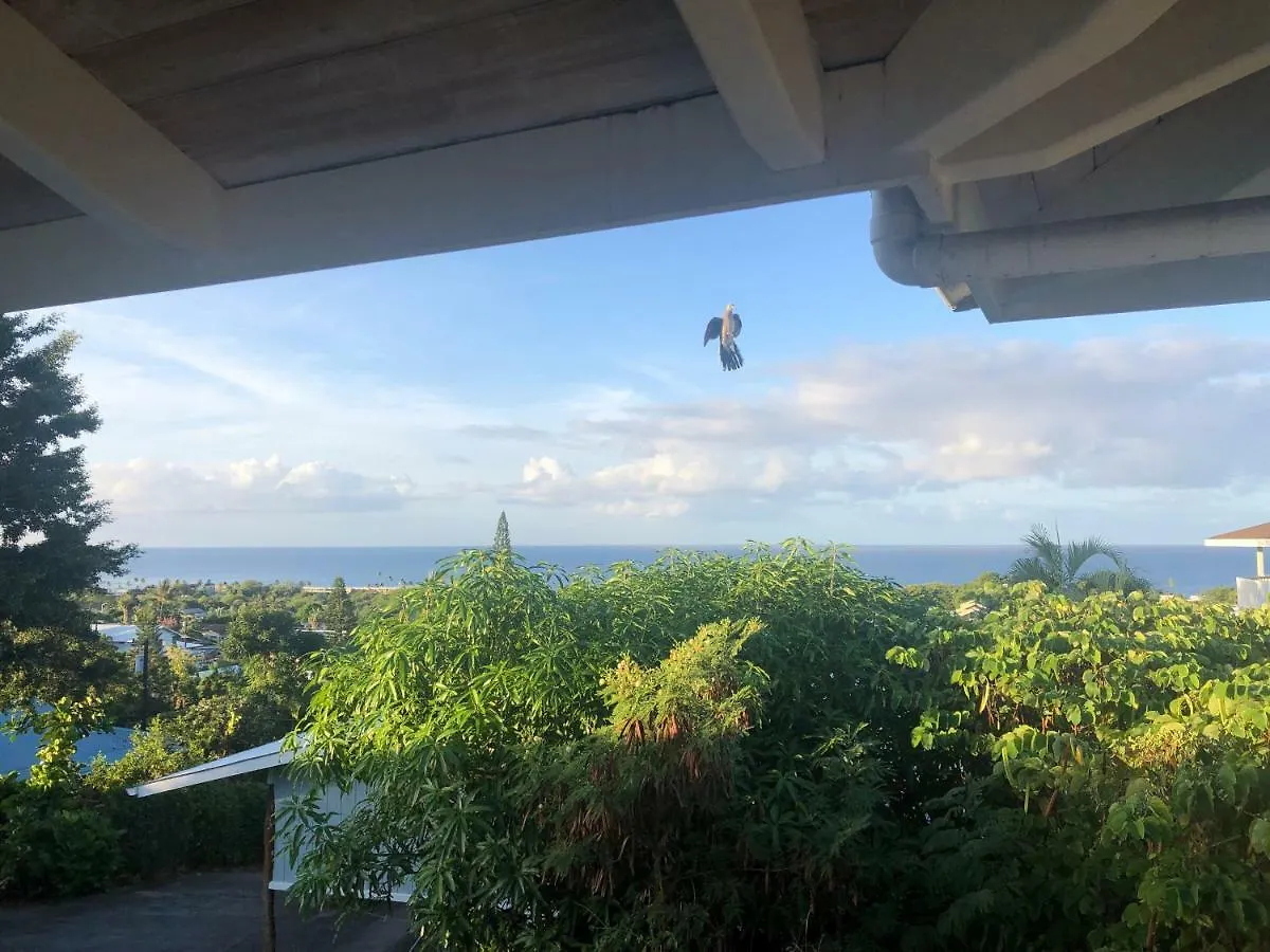 Semesterbostad Hale Kalani Hotell Kailua-Kona USA